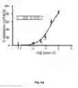 Fig. 07 - JAK1 SELECTIVE INHIBITOR AND USES THEREOF