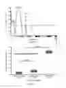 Fig. 16 - Methods and compositions for identifying, diagnosing, and treating neuroblastoma