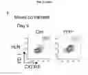Fig. 07 - Methods and Compositions for Manipulating the Immune System