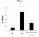 Fig. 02 - Composition for preventing, improving, or treating immune diseases comprising natural extracts as active ingredients