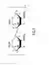 Fig. 02 - Compositions and Methods For Modulation of Vascular Structure and/or Function