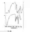 Fig. 07 - Compositions and Methods For Modulation of Vascular Structure and/or Function