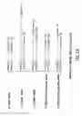 Fig. 40 - Compositions and Methods For Modulation of Vascular Structure and/or Function