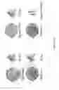 Fig. 22 - Lipid nanoparticle compositions and methods of making and methods of using the same