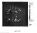 Fig. 43 - Lipid nanoparticle compositions and methods of making and methods of using the same