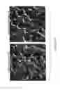 Fig. 44 - Lipid nanoparticle compositions and methods of making and methods of using the same