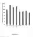 Fig. 46 - Lipid nanoparticle compositions and methods of making and methods of using the same