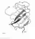 Fig. 08 - Proteolysis-resistant capsid of chimeric hepatitis E virus as an oral delivery vector
