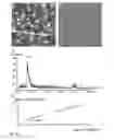 Fig. 22 - Proteolysis-resistant capsid of chimeric hepatitis E virus as an oral delivery vector