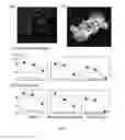 Fig. 35 - Proteolysis-resistant capsid of chimeric hepatitis E virus as an oral delivery vector