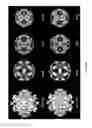 Fig. 41 - Proteolysis-resistant capsid of chimeric hepatitis E virus as an oral delivery vector