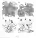 Fig. 43 - Proteolysis-resistant capsid of chimeric hepatitis E virus as an oral delivery vector