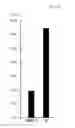 Fig. 02 - METHOD FOR PROMOTING ADIPONECTIN PRODUCTION, PREVENTION AND TREATMENT OF HYPOADIPONECTINEMIA