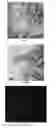 Fig. 06 - RELEASE FILM WITH ENHANCED MECHANICAL PROPERTIES AND METHOD IN PREPARING THEREOF