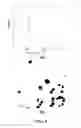 Fig. 06 - HOLLOW GRAPHENE NANOPARTICLE AND METHOD FOR MANUFACTURING THE SAME