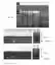 Fig. 05 - Method for fabrication of high aspect ratio trenches and formation of nanoscale features therefrom