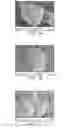 Fig. 02 - Hybrid emulsion aggregate toner