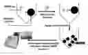 Fig. 01 - Methods, systems, and devices for detecting and identifying microorganisms in microbiological culture samples
