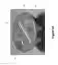 Fig. 10 - Methods, systems, and devices for detecting and identifying microorganisms in microbiological culture samples