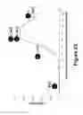 Fig. 23 - Methods, systems, and devices for detecting and identifying microorganisms in microbiological culture samples