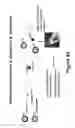 Fig. 44 - Methods, systems, and devices for detecting and identifying microorganisms in microbiological culture samples