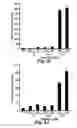 Fig. 07 - Method for delivery of small molecules and proteins across the cell wall of algae using molecular transporters
