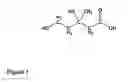 Fig. 02 - Method for the enzymatic production of isoprenol using mevalonate as a substrate