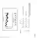 Fig. 08 - Genetically stable live attenuated respiratory syncytial virus vaccine and its production