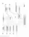 Fig. 02 - METHOD AND APPARATUS FOR PROVIDING A CALLED IDENTIFIER TO A DEVICE ASSOCIATED WITH MULTIPLE IDENTIFIERS