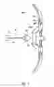 Fig. 02 - Toy arrow for use with toy bow