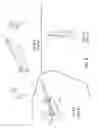 Fig. 09 - Batter assist power trainer device