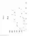 Fig. 22 - Digital Counting of Individual Molecules by Stochastic Attachment of Diverse Labels