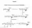 Fig. 50 - NUCLEIC ACID SEQUENCING BY NANOPORE DETECTION OF TAG MOLECULES