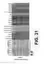 Fig. 32 - PREDICTION OF GENE TARGETS OF ENHANCERS