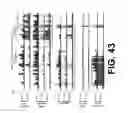 Fig. 41 - PREDICTION OF GENE TARGETS OF ENHANCERS