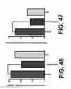 Fig. 44 - PREDICTION OF GENE TARGETS OF ENHANCERS