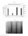 Fig. 63 - Phosphine derivatives of fluorescent compounds