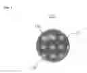 Fig. 02 - Encoded microcapsules and microarray fabricated therefrom