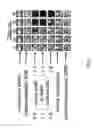 Fig. 03 - High-throughput corrosion testing platform