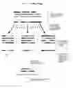 Fig. 19 - SYNTHETIC LIGATION REASSEMBLY IN DIRECTED EVOLUTION