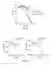 Fig. 40 - SYNTHETIC POLYPEPTIDE LIBRARIES AND METHODS FOR GENERATING NATURALLY DIVERSIFIED POLYPEPTIDE VARIANTS