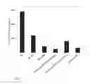 Fig. 02 - Polymers containing multivalent amyloid-beta-binding D-peptides and their use