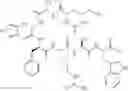 Fig. 40 - Melanocortin-1 receptor-specific linear peptides