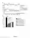 Fig. 09 - DINUCELOSIDE POLYPHOSPHATES FOR THE TREATMENT OF PAIN