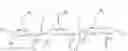 Fig. 08 - ANTIMICROBIAL COMPOSITIONS, THE PREPARATION AND USE THEREOF