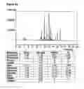 Fig. 09 - Polysaccharides from prasinococcales