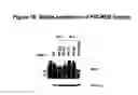 Fig. 12 - Mutant ROS expression in human cancer