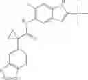 Fig. 239 - Modulators of ATP-Binding Cassette Transporters