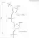Fig. 80 - Carbohydrate conjugates as delivery agents for oligonucleotides