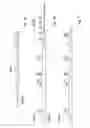 Fig. 02 - CLUSTERED SINGLE NUCLEOTIDE POLYMORPHISMS IN THE HUMAN ACETYLCHOLINESTERASE GENE AND USES THEREOF IN DIAGNOSIS AND THERAPY